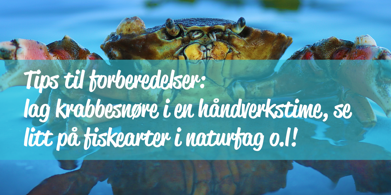 Krabbe